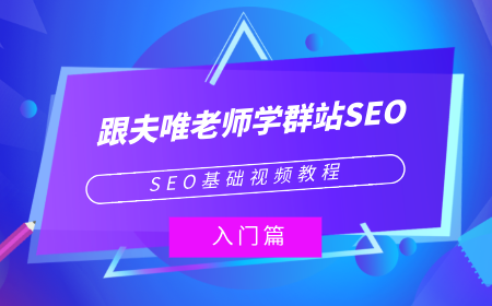 seo基础视频教程《跟夫唯老师学群站seo》入门篇